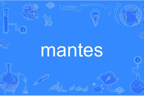 mantes mantes