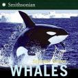 Whales(2006年HarperCollins出版的圖書) Whales(2006年HarperCollins出版的圖書)