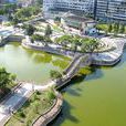 蓮湖廣場 蓮湖廣場