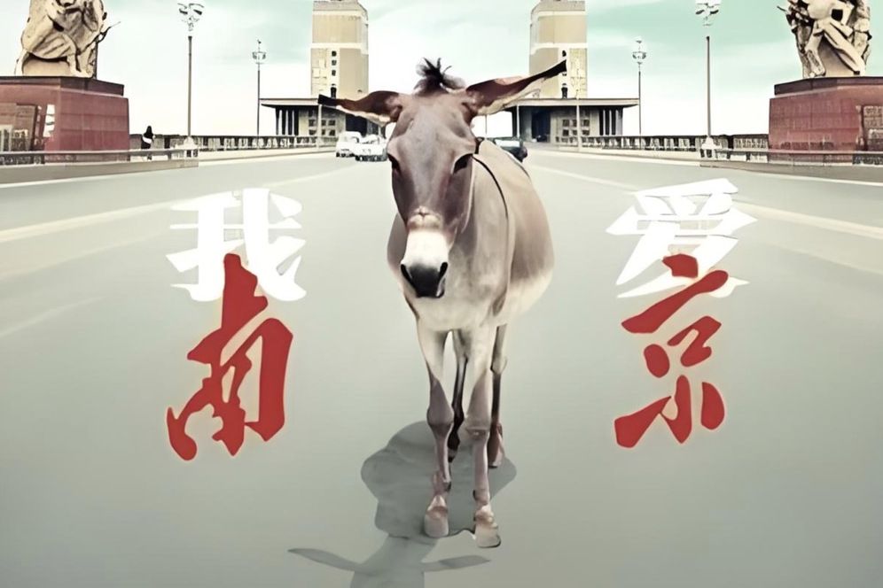 我愛南京(中國2023左小祖咒演唱的歌曲)