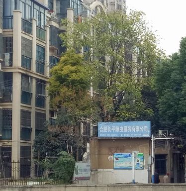 航道大院 航道大院