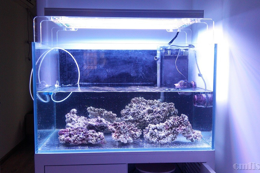 開燈放水 開燈放水