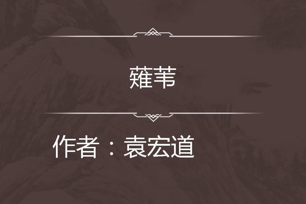 薙葦 薙葦