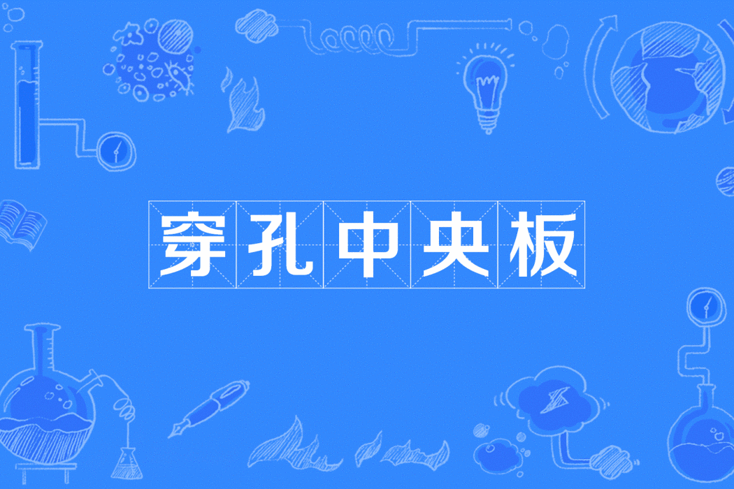 穿孔中央板 穿孔中央板