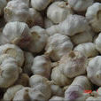 大蒜(蒜頭（即“大蒜”）)