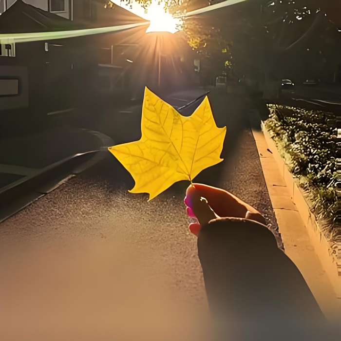 解憂. 解憂.