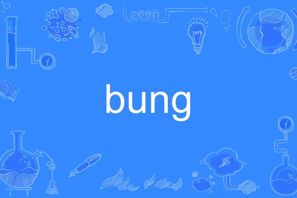 bung bung