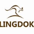 靈動(LINGDOK狗糧品牌) 靈動(LINGDOK狗糧品牌)