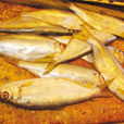 黃鯽子魚