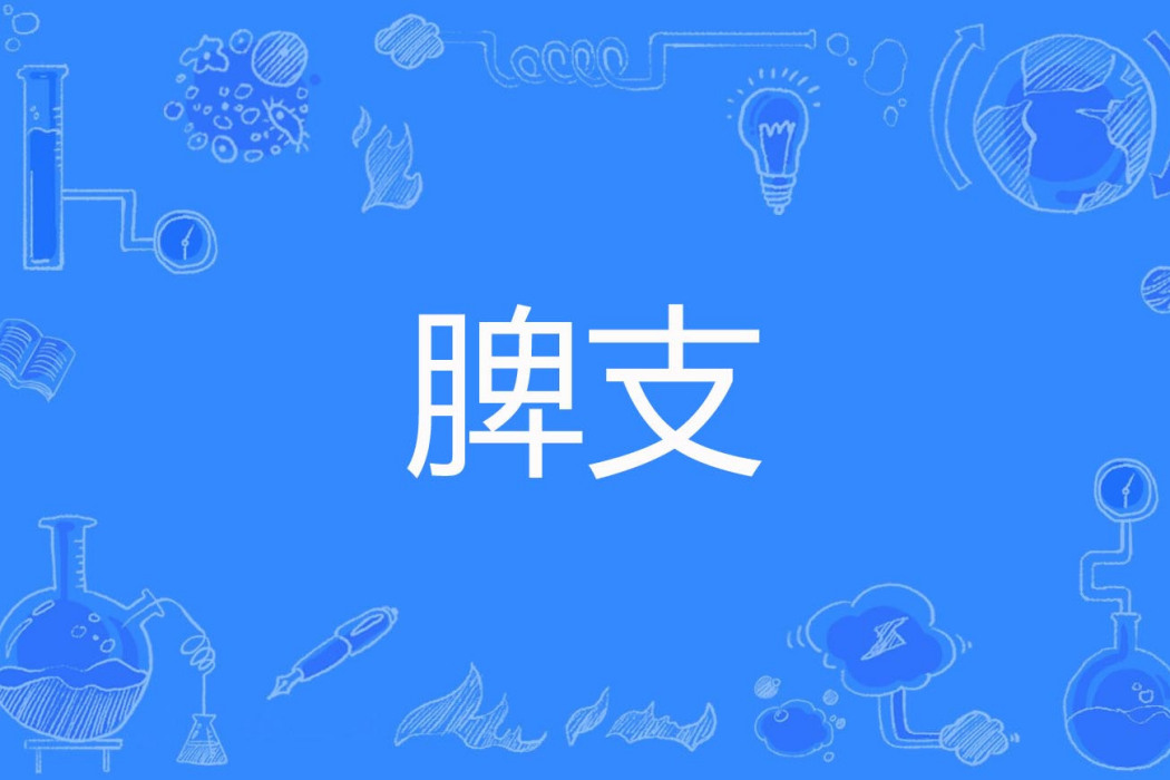 脾支