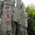 神龍架 神龍架
