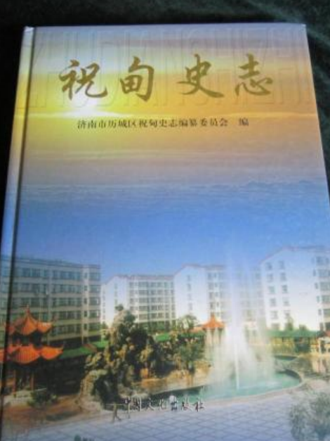 祝甸史志 祝甸史志
