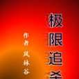 極限追殺 極限追殺