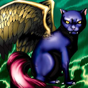 融合體 融合體
