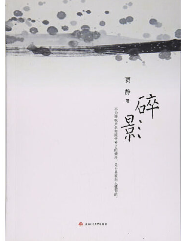 碎影(2017年西南交通大學出版社出版的圖書) 碎影(2017年西南交通大學出版社出版的圖書)