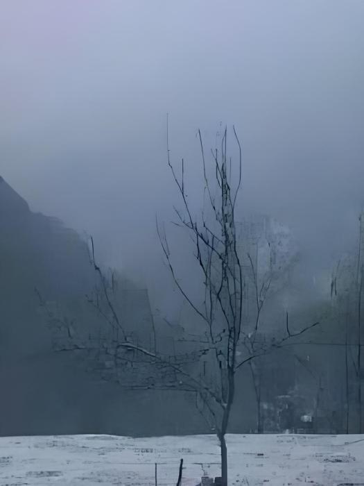 九龍爭霸錄