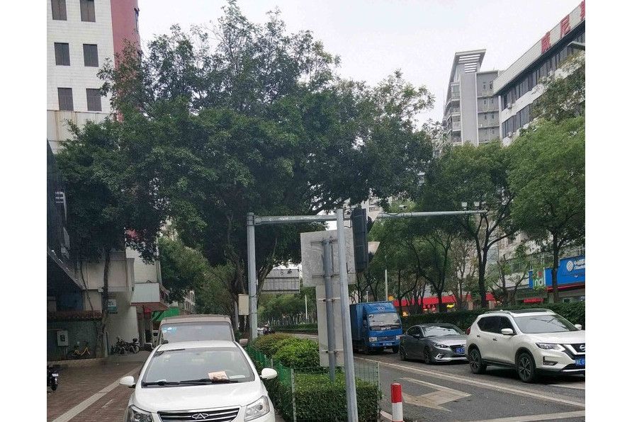 張槎三路 張槎三路