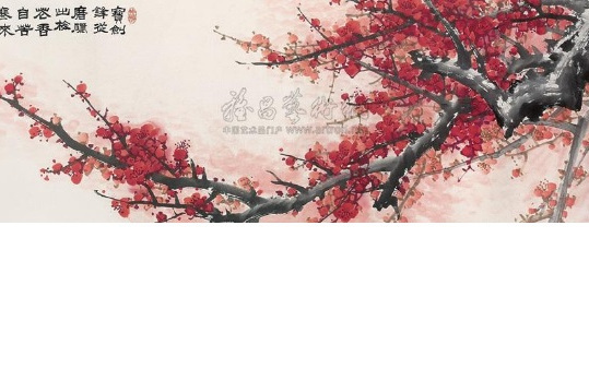 梅花飄香 梅花飄香