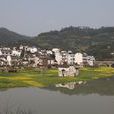 新楊村(陝西旬邑縣職田鎮下轄村) 新楊村(陝西旬邑縣職田鎮下轄村)