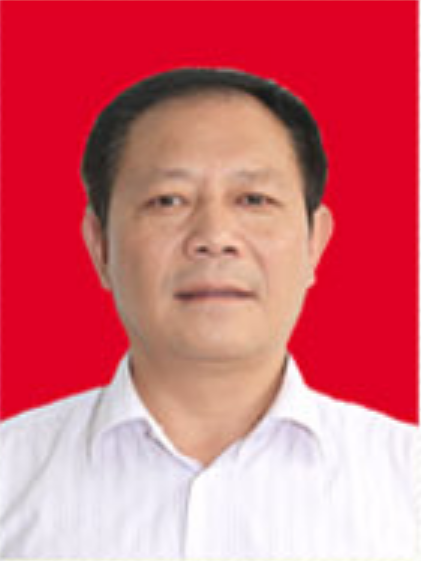 盧書林(泗縣長溝鎮黨委書記)