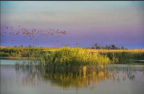 新疆瑪納斯國家濕地公園