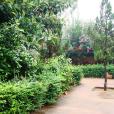 點連村 點連村