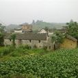 李巳村 李巳村
