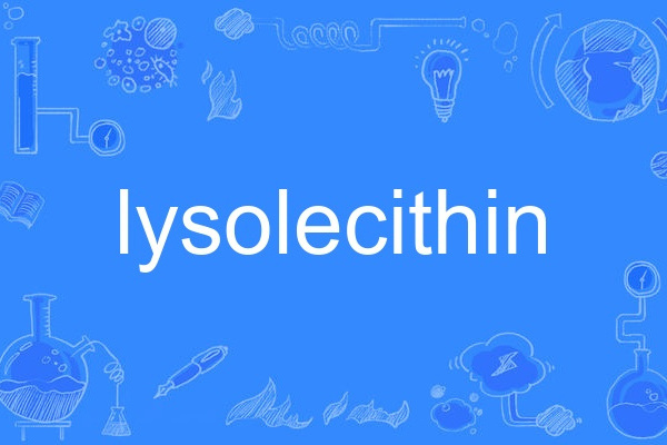 lysolecithin lysolecithin