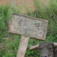 老壩村(江蘇常州市湖塘鎮下轄村)