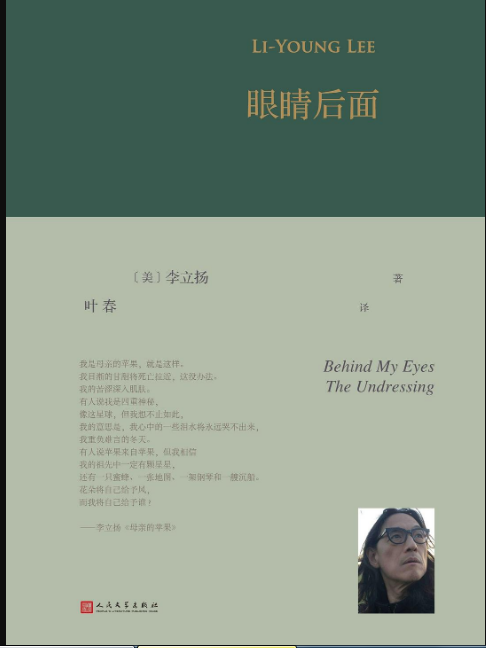 眼睛後面 眼睛後面