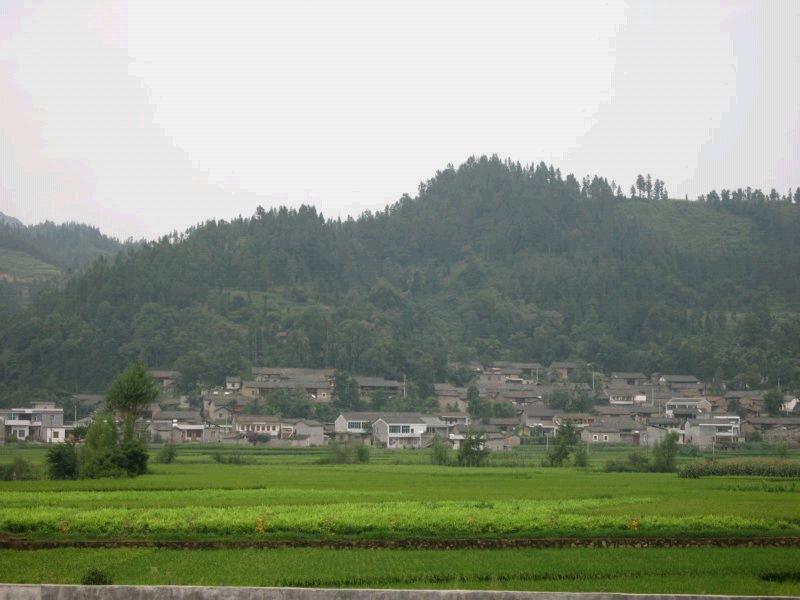 魯特村 魯特村