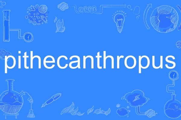 pithecanthropus pithecanthropus