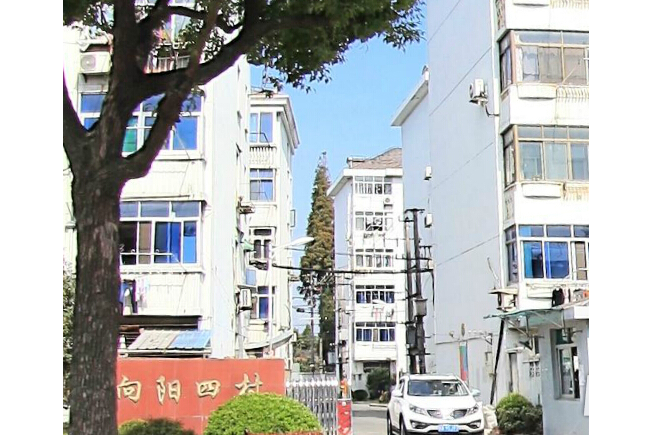 向陽四村 向陽四村