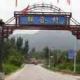 聯合村(四川省德陽市什邡市洛水鎮聯合村)
