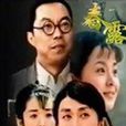 春露(朱仲麗導演的電視劇) 春露(朱仲麗導演的電視劇)