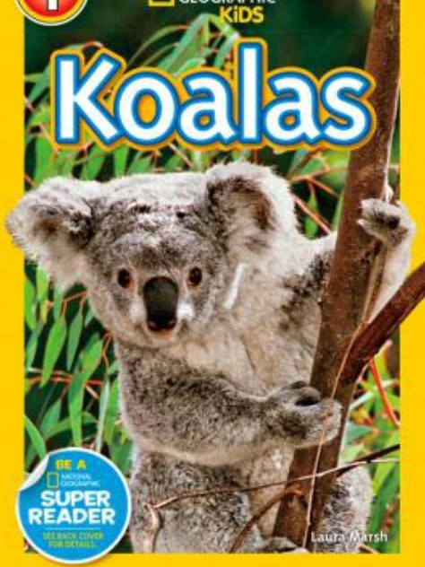 National Geographic Readers Kids Level 1: Koalas National Geographic Readers Kids Level 1: Koalas