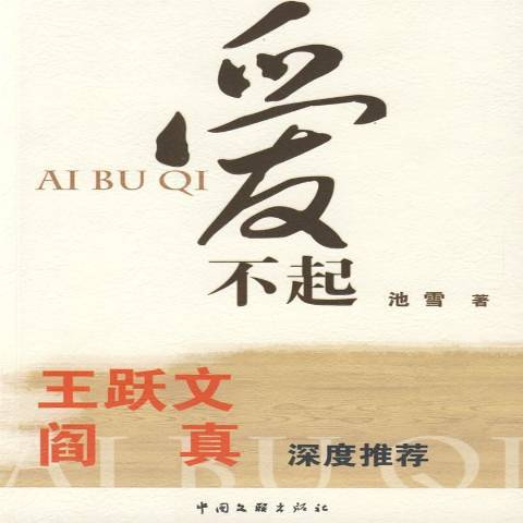 愛不起(2009年中國文聯出版社出版的圖書) 愛不起(2009年中國文聯出版社出版的圖書)