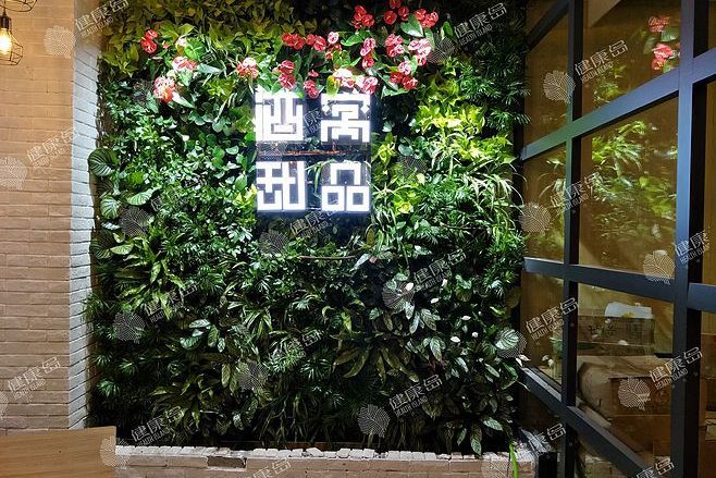 綠植花藝 綠植花藝