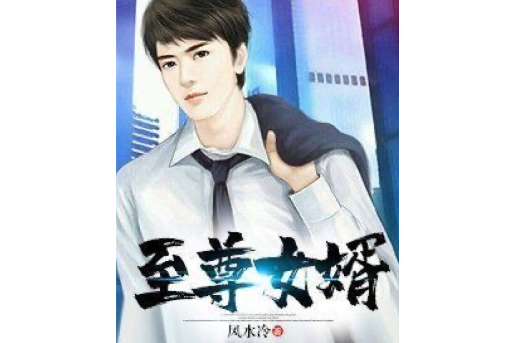 至尊女婿(風水冷所著小說) 至尊女婿(風水冷所著小說)