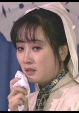 聊齋喜劇系列(聊齋傳奇（1994年張剛導演電視劇）)