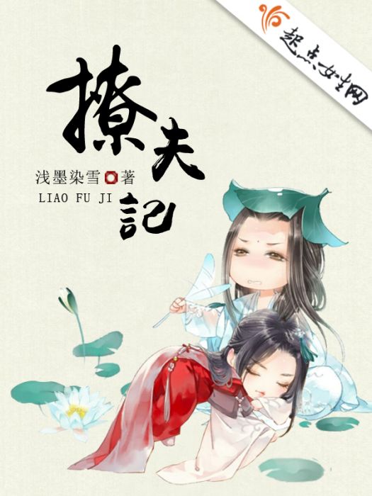 撩夫記 撩夫記