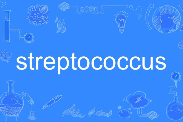streptococcus streptococcus