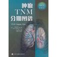 腫瘤TNM分期圖譜