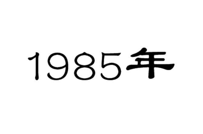 1985年(年份)