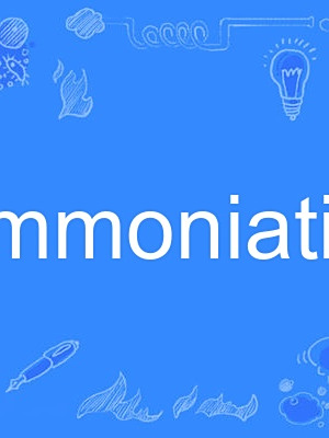 ammoniation ammoniation