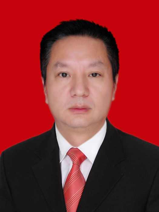 龍劍(湖南省益陽市桃江縣財政局黨組成員、副局長)