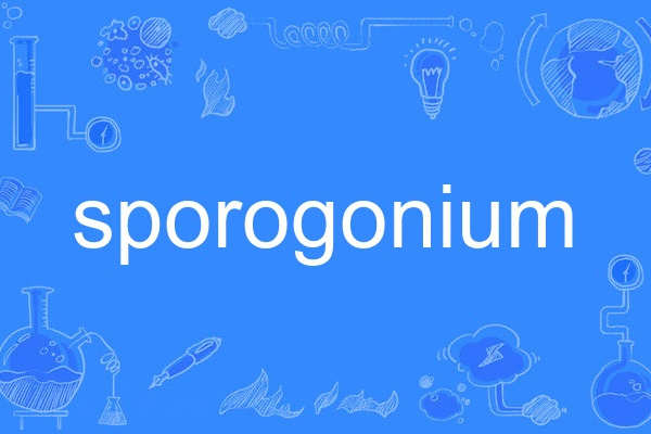 sporogonium