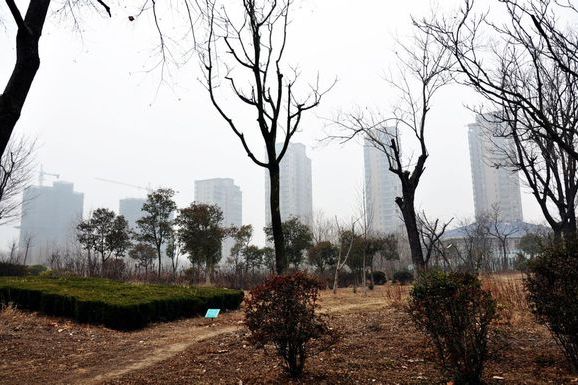 郁洲公園 郁洲公園