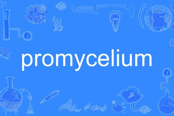 promycelium promycelium