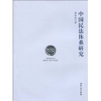 中國民法體系研究